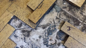 Wood floor repair Carlisle