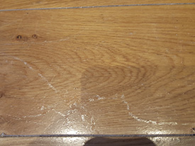 Damaged wood floors Preston